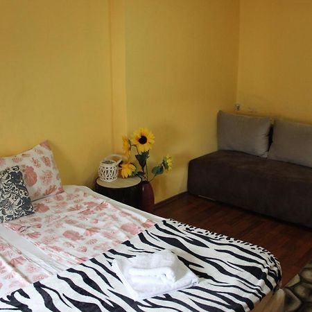 Vitoshka Biggest Apartment Софія Екстер'єр фото