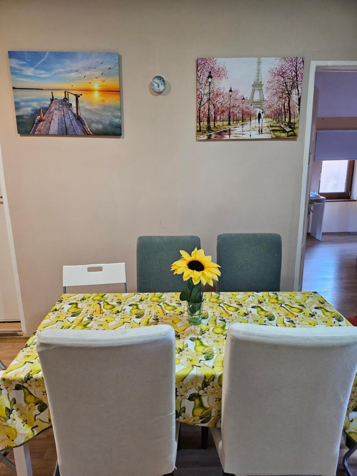 Vitoshka Biggest Apartment Софія Екстер'єр фото